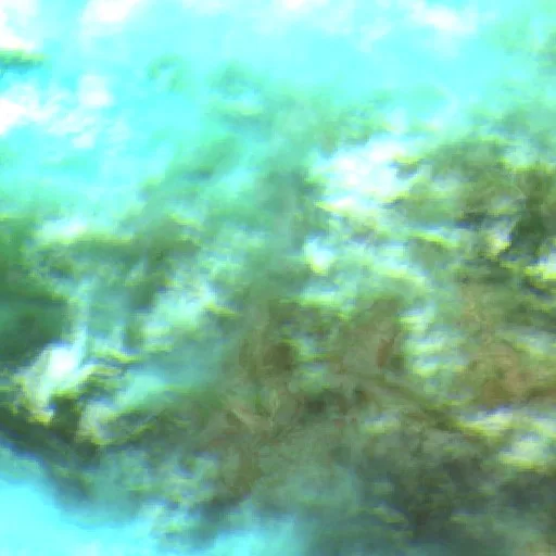 Incendio 3-6 Wagon (CA) — Sentinel-2 SWIR (fuego)