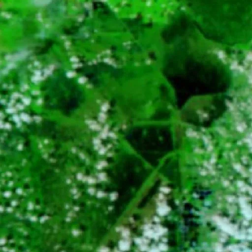 Incendio 3 Alpha Sierra (Florida) — NASA satellite