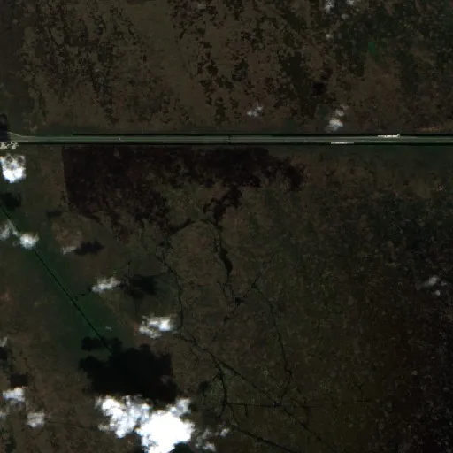 3 Alpha Sierra Fire (Florida) — Sentinel-2 true color