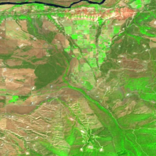 310 Fire (CO) — Sentinel-2 SWIR (fuego)