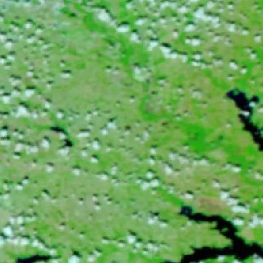 Alma Fire (Texas) — NASA satellite