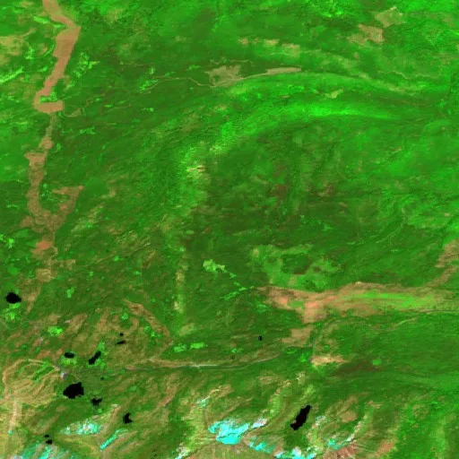 Incendio Anthony (OR) — Sentinel-2 SWIR (fuego)
