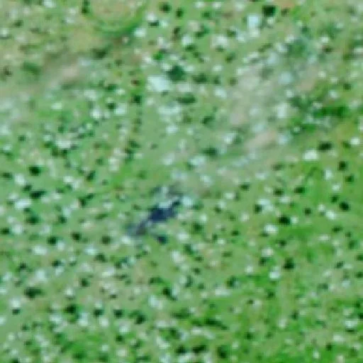 Incendio Arrowhead (Texas) — NASA satellite