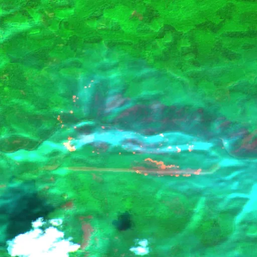 Austin Non-Stat Fire (OR) — Sentinel-2 SWIR (fuego)
