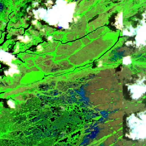 Avocado Fire (FL) — Sentinel-2 SWIR (fuego)