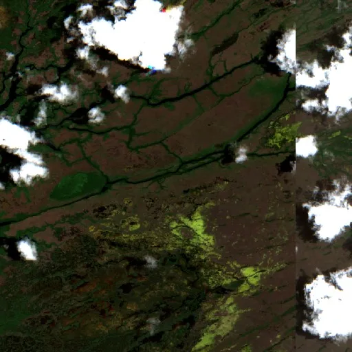 Avocado Fire (FL) — Sentinel-2 true color