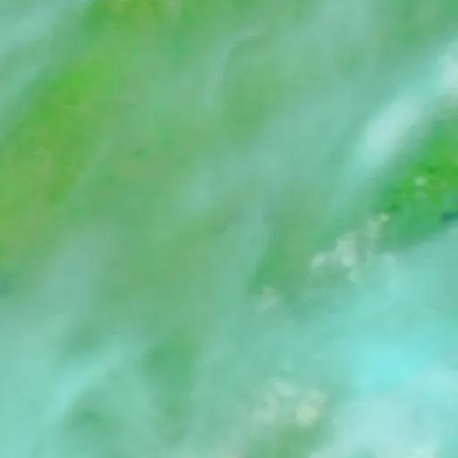 B.B Fire (OK) — NASA satellite
