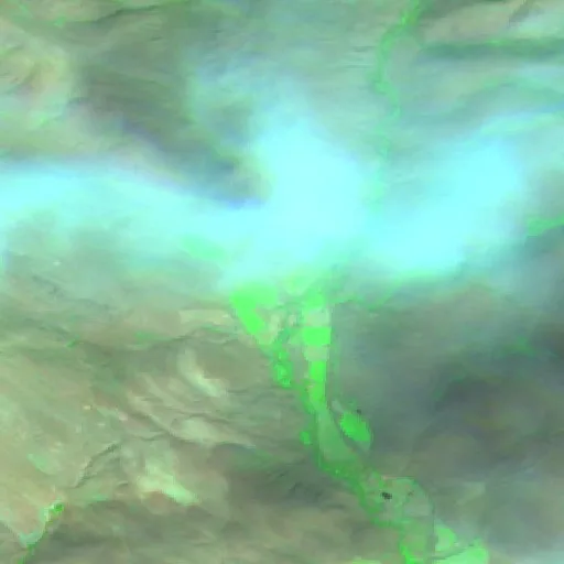 Incendio Balky Hill (WA) — Sentinel-2 SWIR (fuego)
