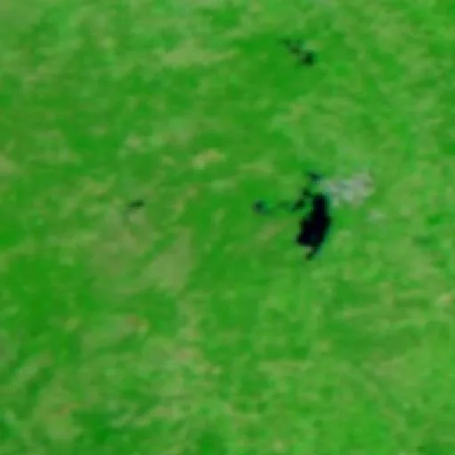 Incendio Bear Hallow (TX) — NASA satellite