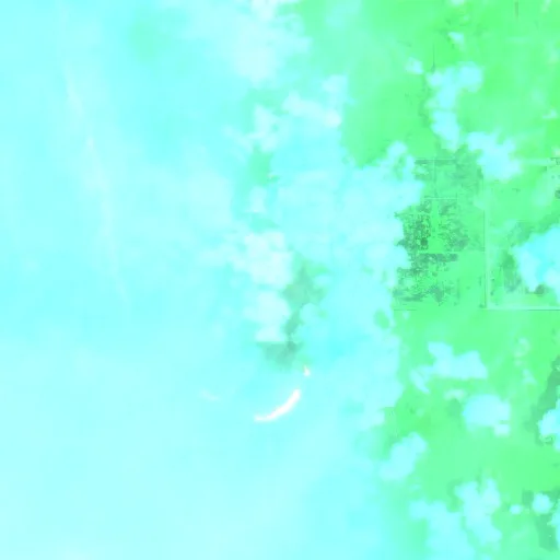 BERGER (50) Fire (FL) — Sentinel-2 SWIR (fuego)