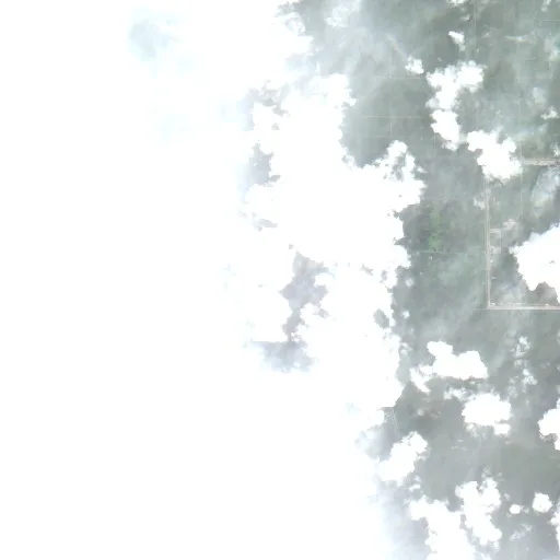 BERGER (50) Fire (FL) — Sentinel-2 true color