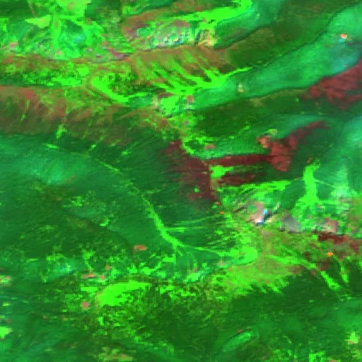 Big Burn Creek Fire — Sentinel-2 SWIR (fuego)