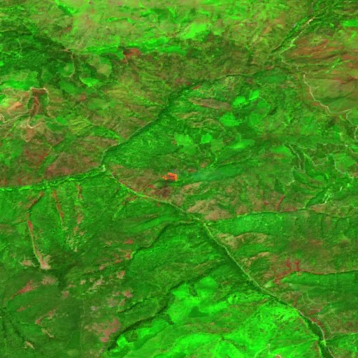 Incendio Black Bear (MT) — Sentinel-2 SWIR (fuego)