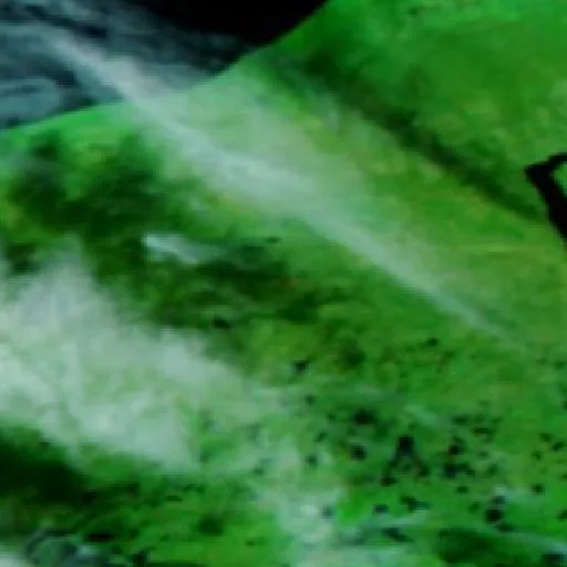 Black River Fire (Michigan) — NASA satellite