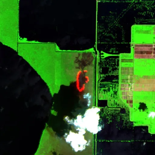Blue Lake Fire (Florida) — Sentinel-2 SWIR (fuego)