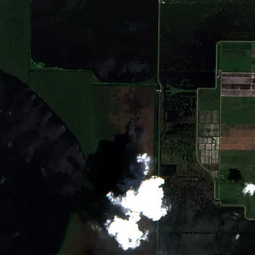 Blue Lake Fire (Florida) — Sentinel-2 true color