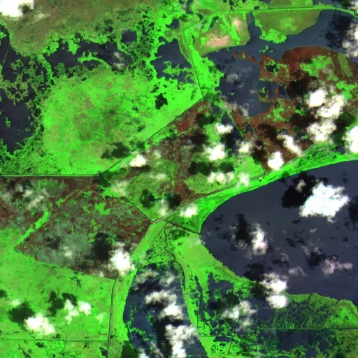 Boardwalk Fire (Louisiana) — Sentinel-2 SWIR (fuego)