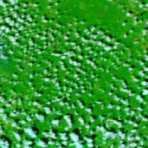 Bradley Road Fire (Alabama) — NASA satellite