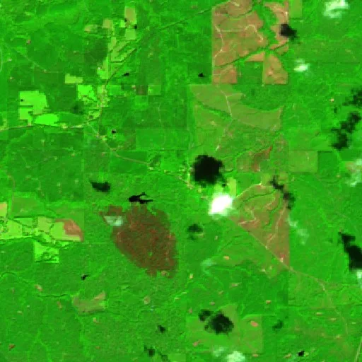Incendio Bradley Road (Alabama) — Sentinel-2 SWIR (fuego)