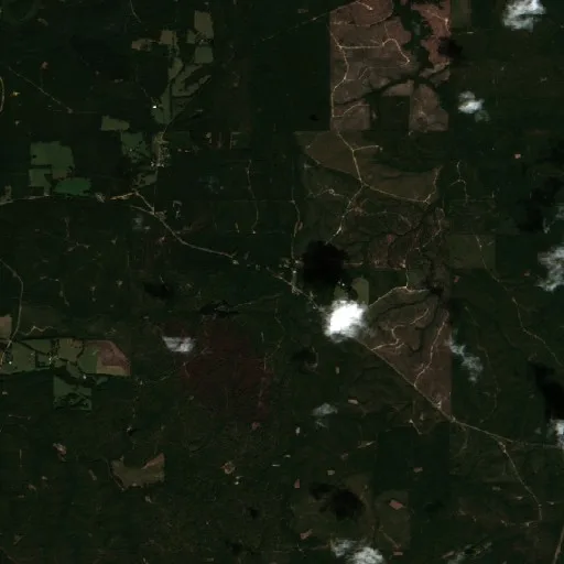 Incendio Bradley Road (Alabama) — Sentinel-2 true color