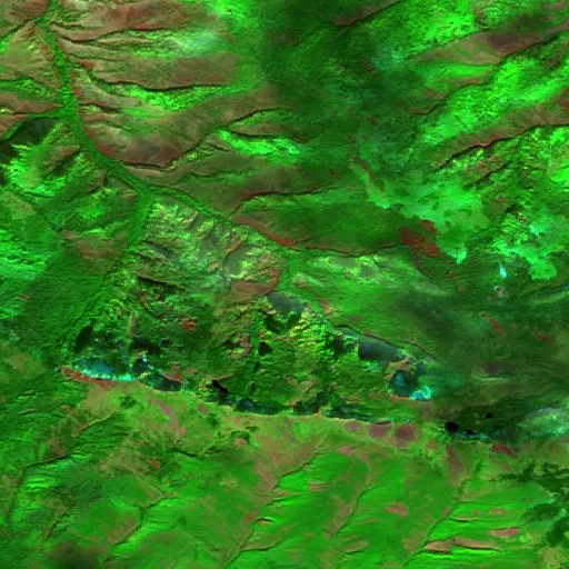 Bras Fire (Montana) — Sentinel-2 SWIR (fuego)