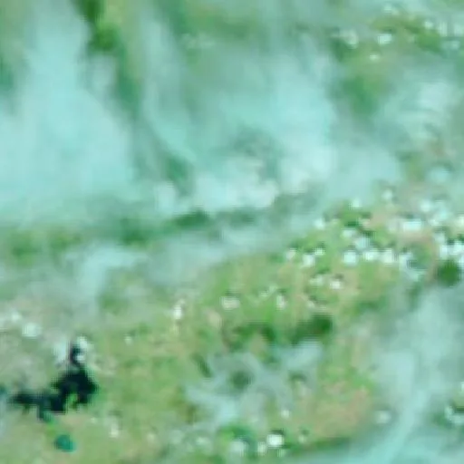 Breezy Fire (Texas) — NASA satellite