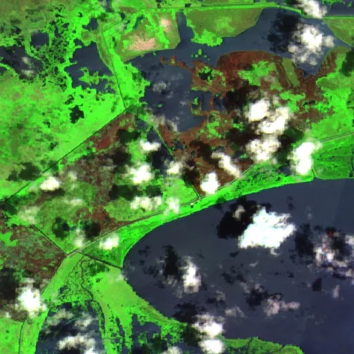 Brown Ditch Fire (Louisiana) — Sentinel-2 SWIR (fuego)