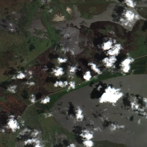 Brown Ditch Fire (Louisiana) — Sentinel-2 true color