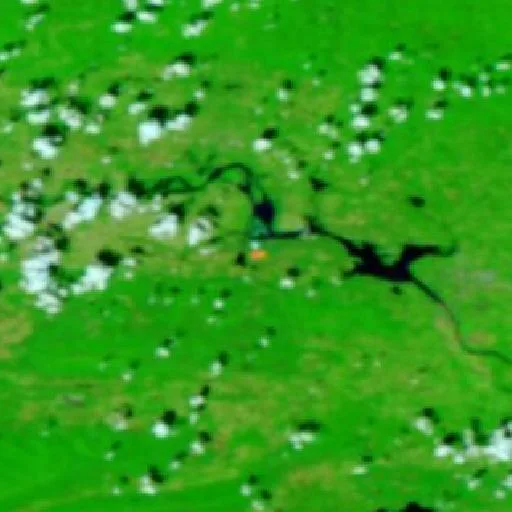 Brown Lane Fire (Arkansas) — NASA satellite