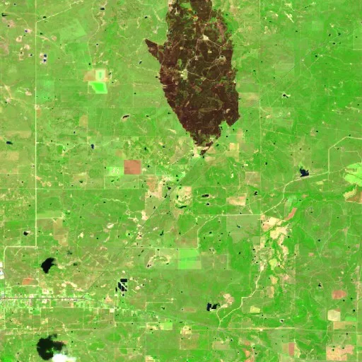 Bufford Creek Fire (Texas) — Sentinel-2 SWIR (fuego)
