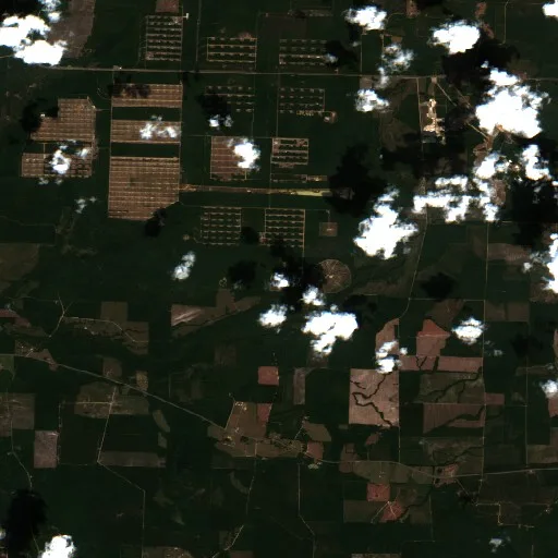 Incendio Bunker (Arkansas) — Sentinel-2 true color