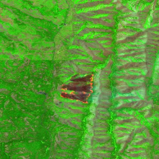 Burnt Creek Fire (OR) — Sentinel-2 SWIR (fuego)
