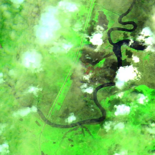 Incendio Camden Mccarthy Overpass (GA) — Sentinel-2 SWIR (fuego)