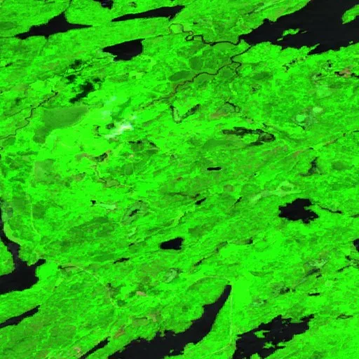 Camp Fire (MN) — Sentinel-2 SWIR (fuego)