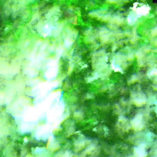 Incendio Can City (Carolina del Sur) — Sentinel-2 SWIR (fuego)