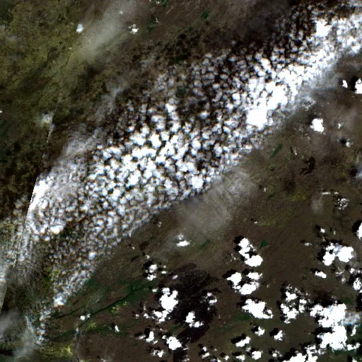 Incendio Chipmunk (Florida) — Sentinel-2 true color