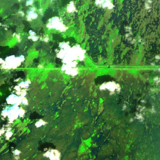 Chipmunk Fire (Florida) — Sentinel-2 SWIR (fuego)