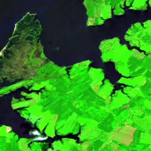 Clearwater Fire (VA) — Sentinel-2 SWIR (fuego)