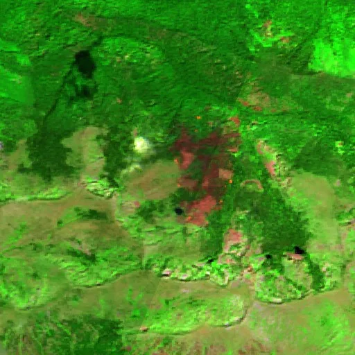 Cooper Fire (Idaho) — Sentinel-2 SWIR (fuego)