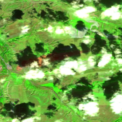 Incendio Cora Creek (Montana) — Sentinel-2 SWIR (fuego)