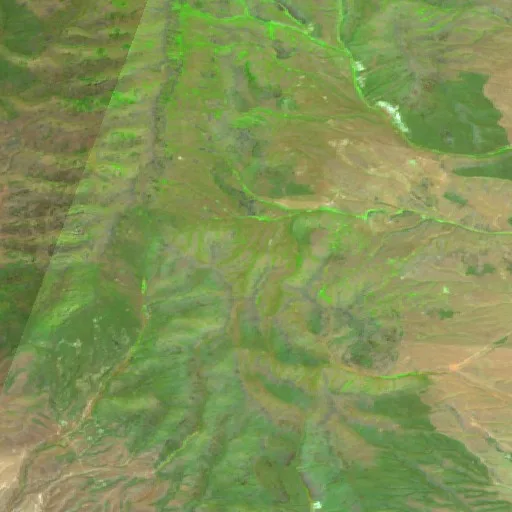 Cow Canyon Fire (ID) — Sentinel-2 SWIR (fuego)
