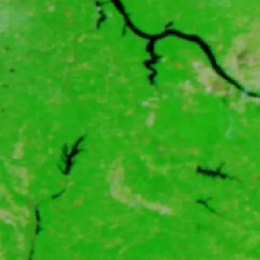 Cr 99 Mingo Fire, Mississippi — NASA satellite