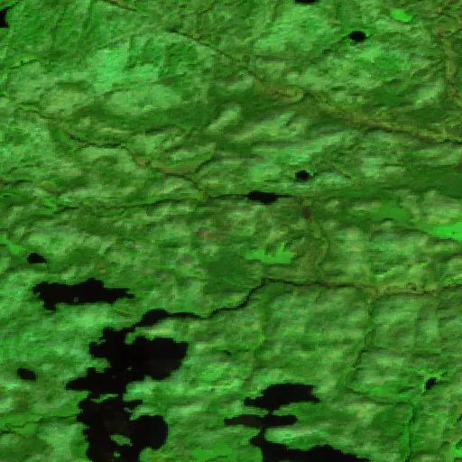 Craig Lake 1 Fire (Michigan) — Sentinel-2 SWIR (fuego)