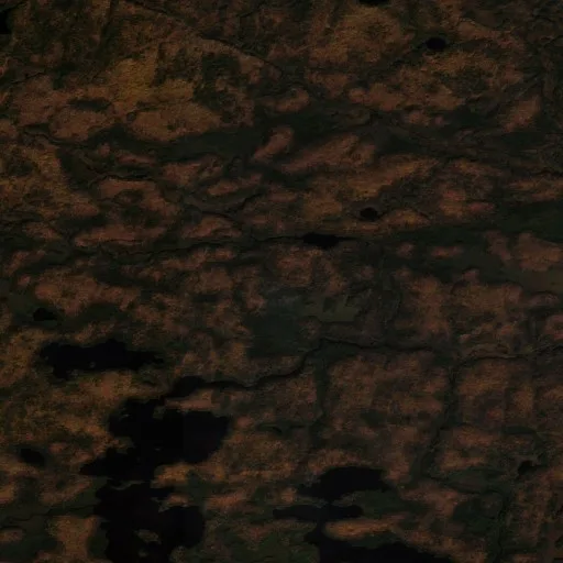 Craig Lake 1 Fire (Michigan) — Sentinel-2 true color