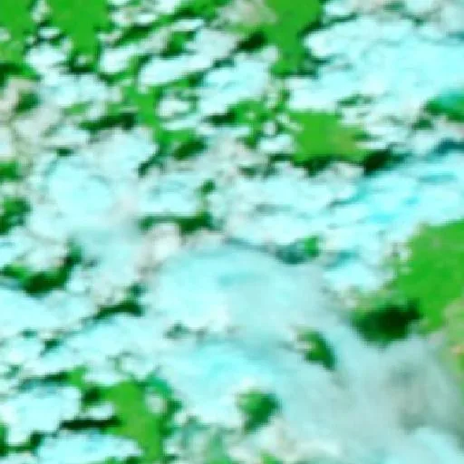 Crow Fire (Louisiana) — NASA satellite