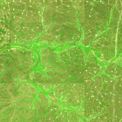 Cusenbarry Draw Fire (TX) — Sentinel-2 SWIR (fuego)