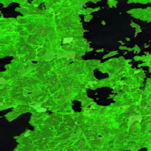 Dark Fire (Minnesota) — Sentinel-2 SWIR