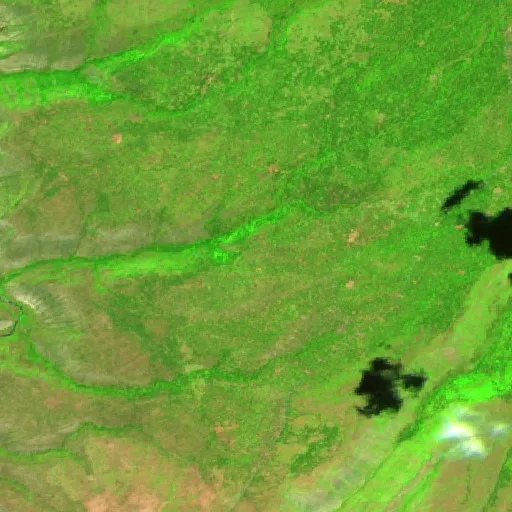Doe Canyon Fire (CO) — Sentinel-2 SWIR (fuego)