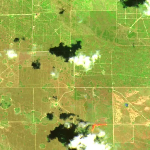 Incendio Dos Pistolas (TX) — Sentinel-2 SWIR (fuego)