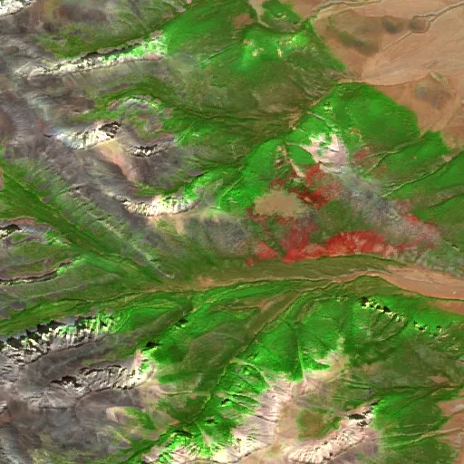 Doublesprings Fire (Idaho) — Sentinel-2 SWIR (fuego)